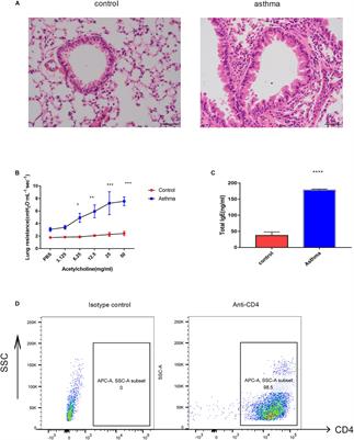 Next Generation Sequencing for Long Non-coding RNAs Profile for CD4+ T Cells in the Mouse Model of Acute Asthma